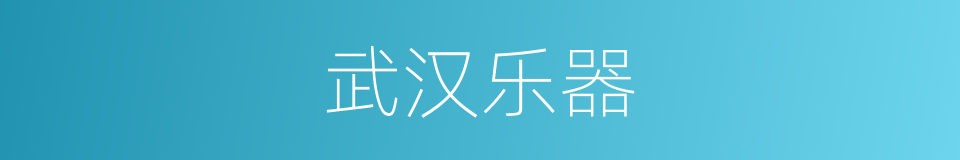 武汉乐器的同义词