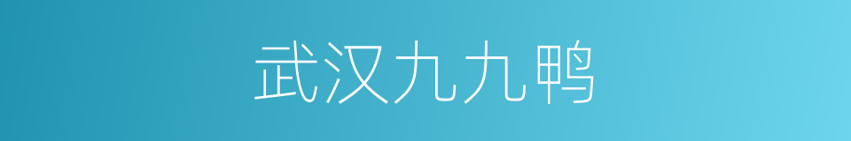 武汉九九鸭的同义词