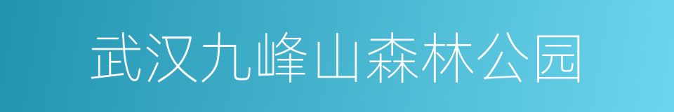 武汉九峰山森林公园的同义词