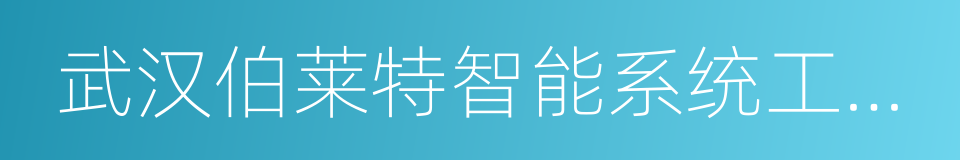 武汉伯莱特智能系统工程有限公司的同义词