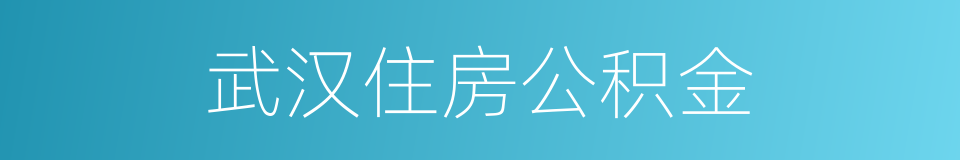 武汉住房公积金的同义词