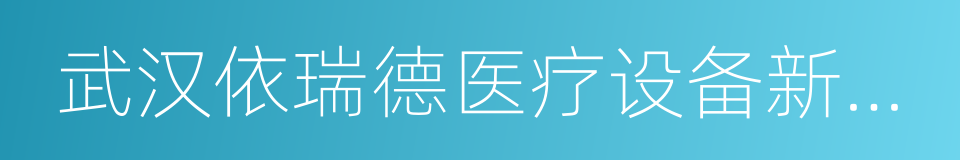 武汉依瑞德医疗设备新技术有限公司的同义词