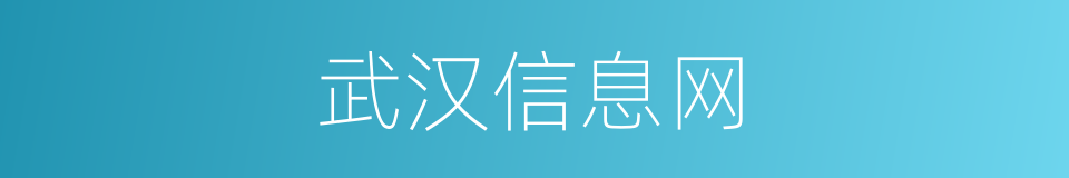 武汉信息网的同义词