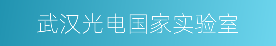 武汉光电国家实验室的同义词