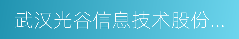 武汉光谷信息技术股份有限公司的同义词