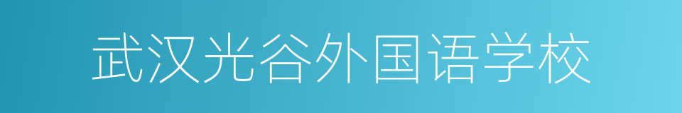 武汉光谷外国语学校的同义词