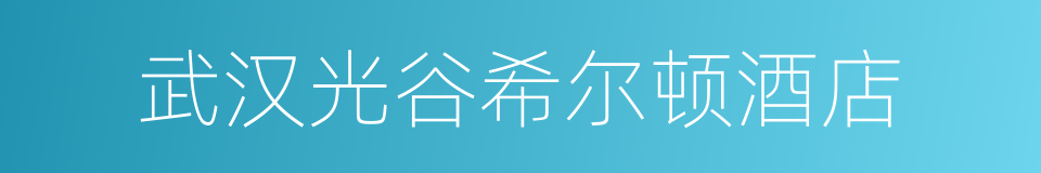 武汉光谷希尔顿酒店的同义词