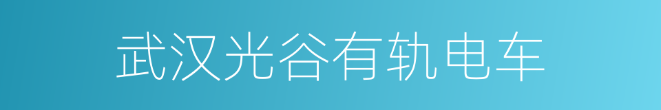 武汉光谷有轨电车的同义词