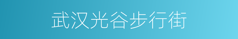 武汉光谷步行街的同义词