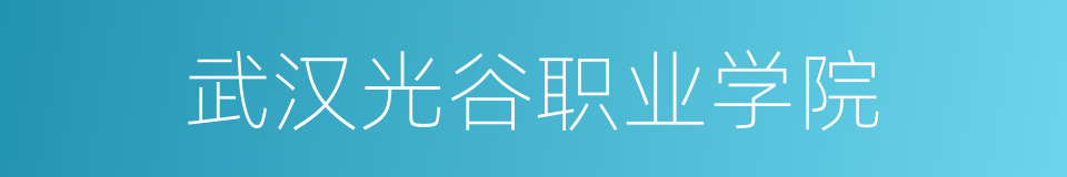 武汉光谷职业学院的同义词