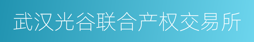 武汉光谷联合产权交易所的同义词