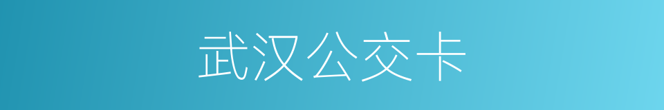 武汉公交卡的同义词
