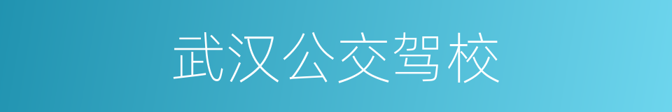 武汉公交驾校的同义词