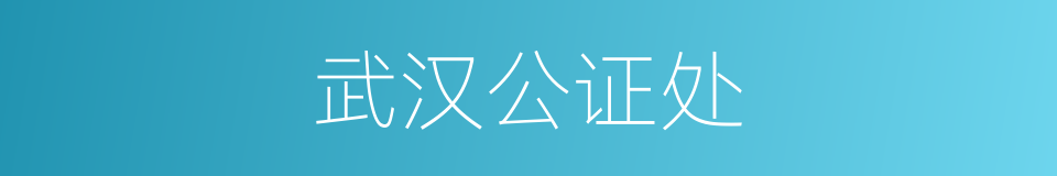 武汉公证处的同义词
