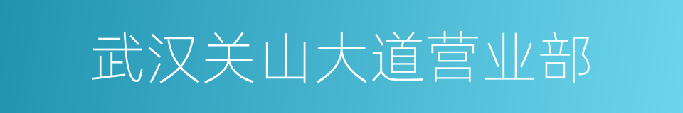 武汉关山大道营业部的同义词