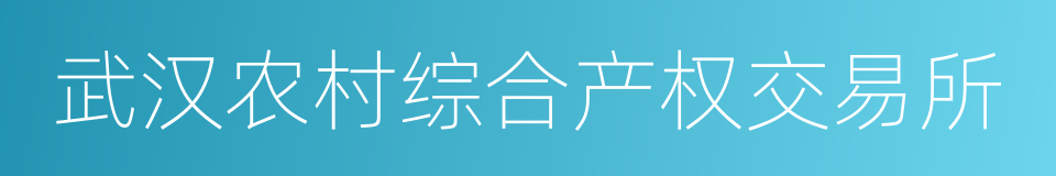 武汉农村综合产权交易所的同义词