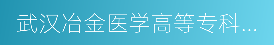 武汉冶金医学高等专科学校的同义词