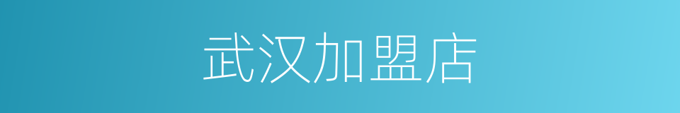 武汉加盟店的同义词