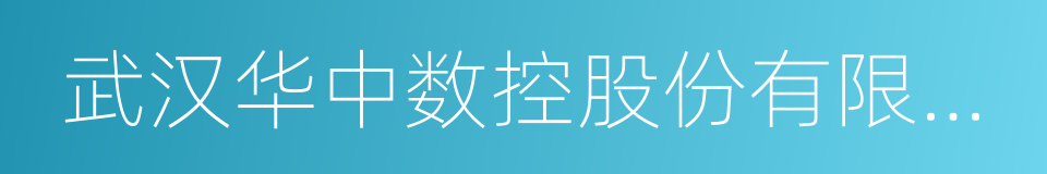 武汉华中数控股份有限公司的同义词