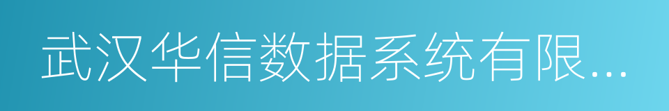 武汉华信数据系统有限公司的同义词