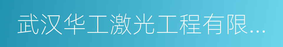 武汉华工激光工程有限责任公司的同义词