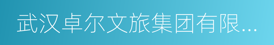 武汉卓尔文旅集团有限公司的同义词