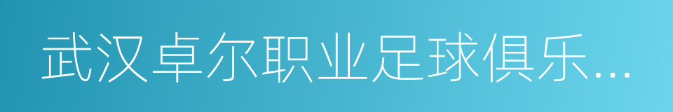 武汉卓尔职业足球俱乐部有限公司的同义词