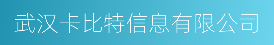 武汉卡比特信息有限公司的同义词