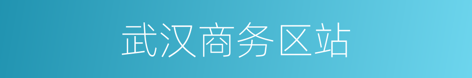 武汉商务区站的同义词