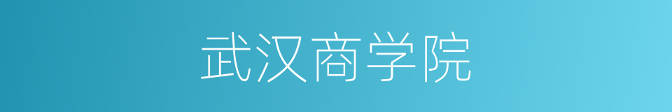 武汉商学院的同义词