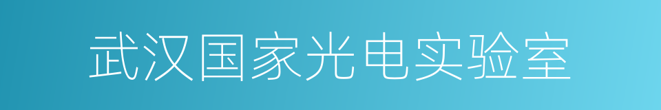 武汉国家光电实验室的同义词