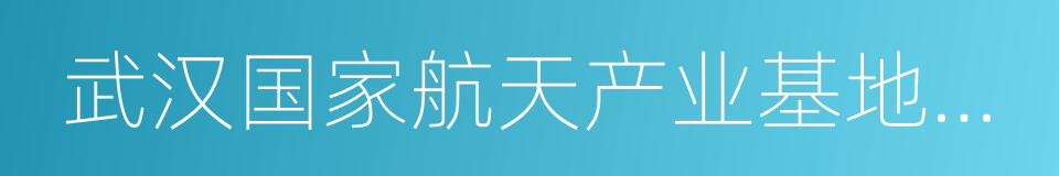 武汉国家航天产业基地实施方案的同义词