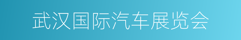 武汉国际汽车展览会的同义词