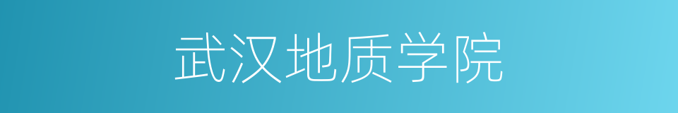 武汉地质学院的同义词
