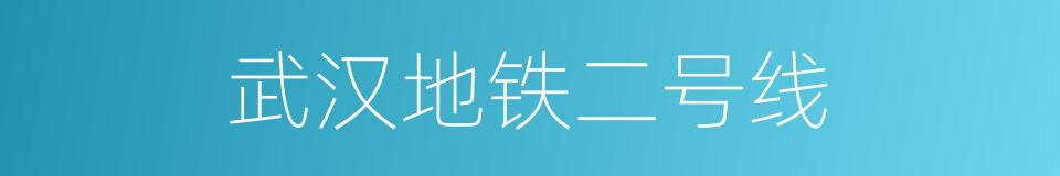武汉地铁二号线的同义词