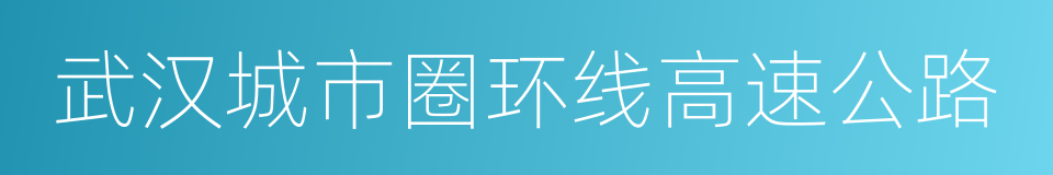 武汉城市圈环线高速公路的同义词