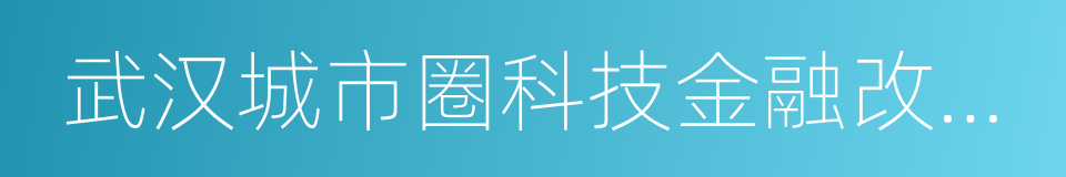 武汉城市圈科技金融改革创新专项方案的同义词