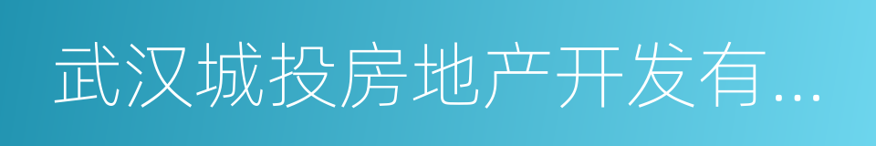 武汉城投房地产开发有限公司的同义词