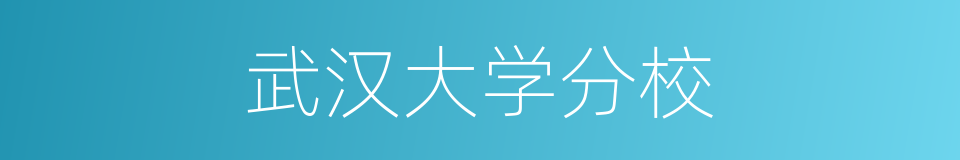 武汉大学分校的同义词