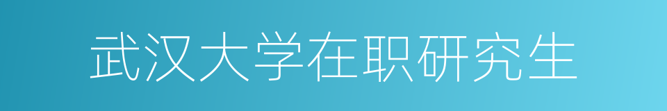 武汉大学在职研究生的同义词