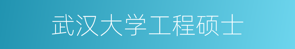 武汉大学工程硕士的同义词