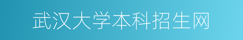 武汉大学本科招生网的同义词