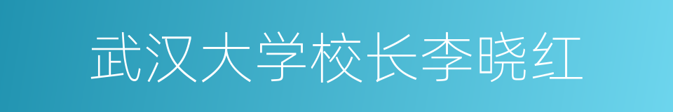 武汉大学校长李晓红的同义词