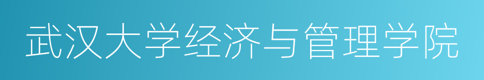 武汉大学经济与管理学院的同义词