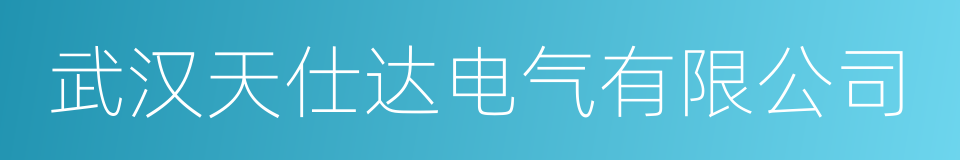武汉天仕达电气有限公司的同义词