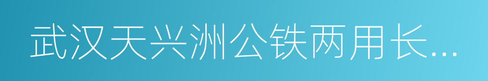 武汉天兴洲公铁两用长江大桥的同义词