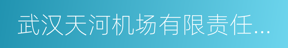 武汉天河机场有限责任公司的同义词