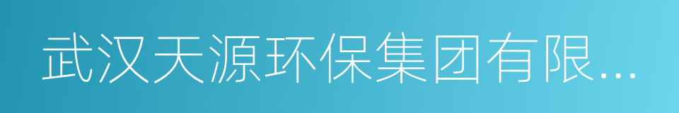 武汉天源环保集团有限公司的同义词