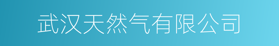 武汉天然气有限公司的同义词