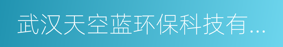 武汉天空蓝环保科技有限公司的同义词